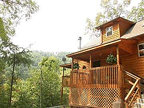 Pigeon Forge Cabin with access to a private stocked fishing pond 